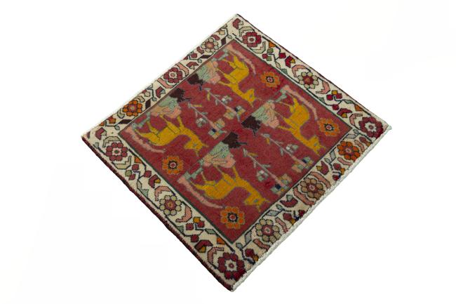 Shiraz - 2