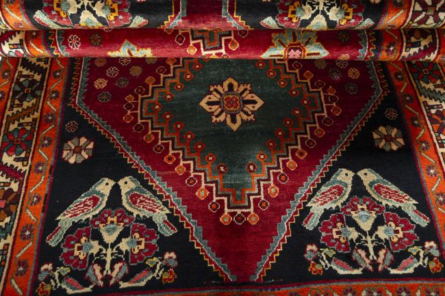 Shiraz - 7
