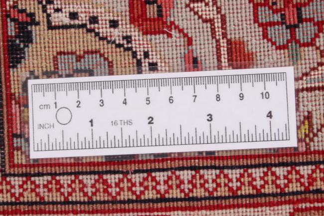 タブリーズ 50Raj - 8