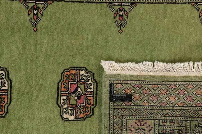 Pakistan Buchara 2ply - 1