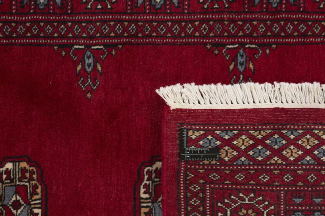 Pakistan Buchara 3ply - 1