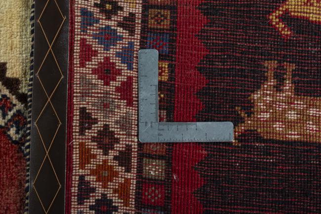 Shiraz - 9