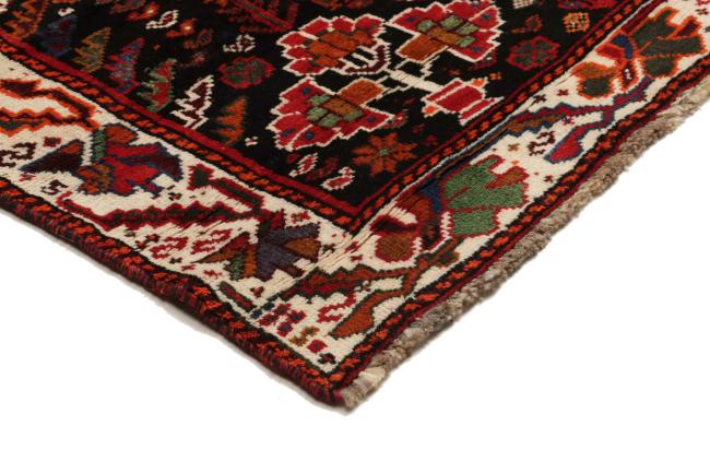 Shiraz - 6