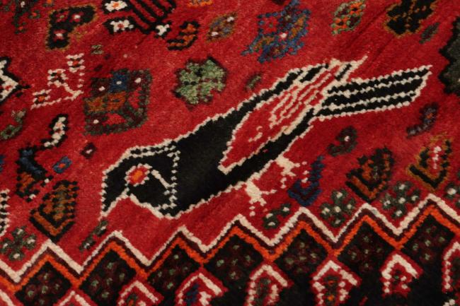 Shiraz - 7