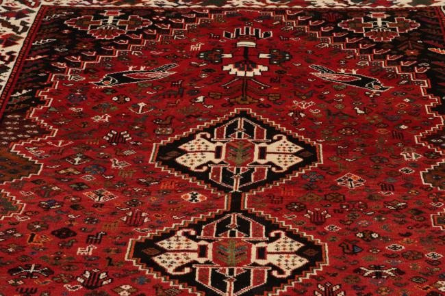 Shiraz - 8