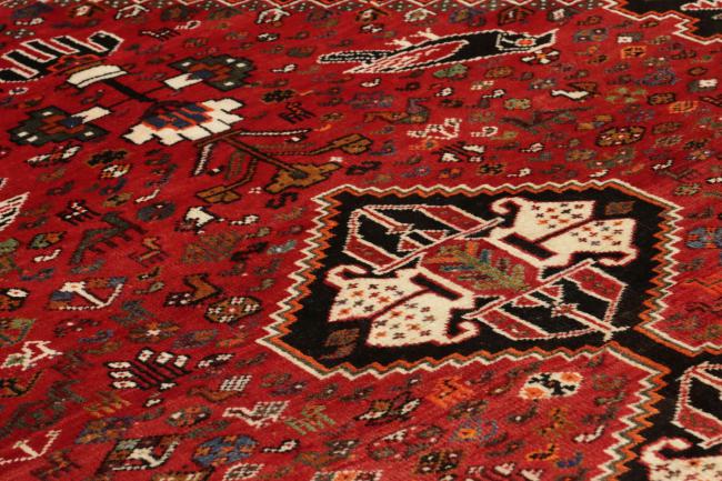 Shiraz - 9