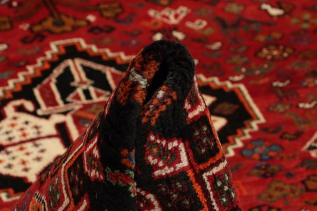 Shiraz - 10