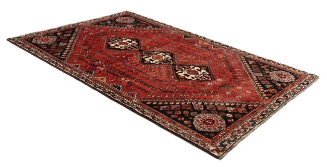Shiraz - 4