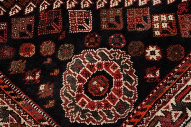 Shiraz - 7