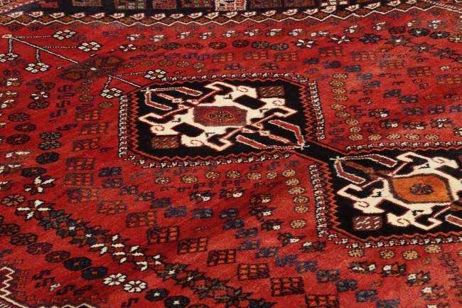 Shiraz - 8