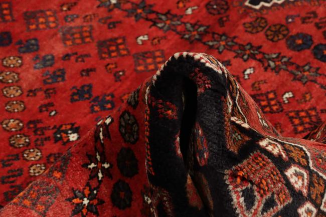 Shiraz - 10