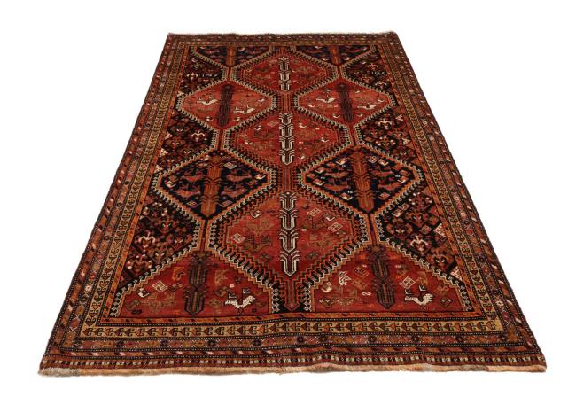 Shiraz - 5