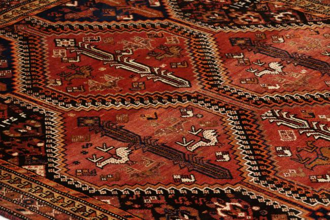 Shiraz - 9