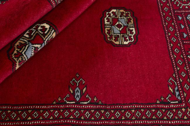 Pakistan Buchara 3ply - 2