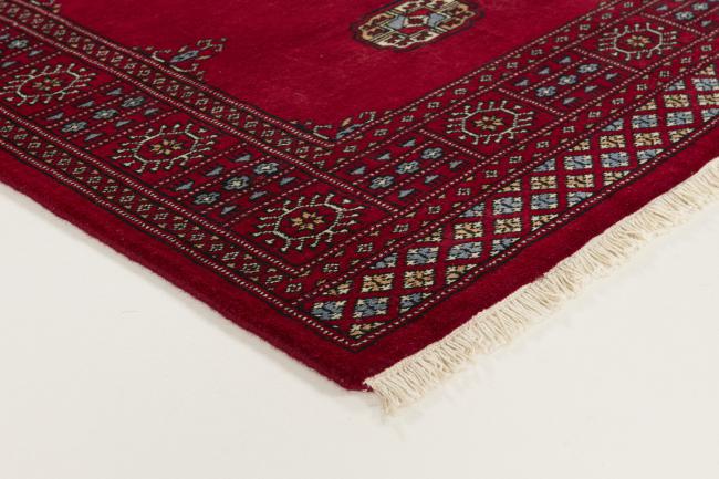 Pakistan Buchara 3ply - 3