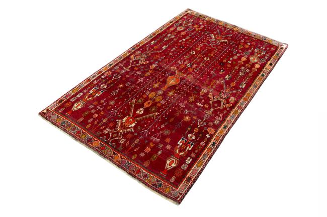 Shiraz - 1