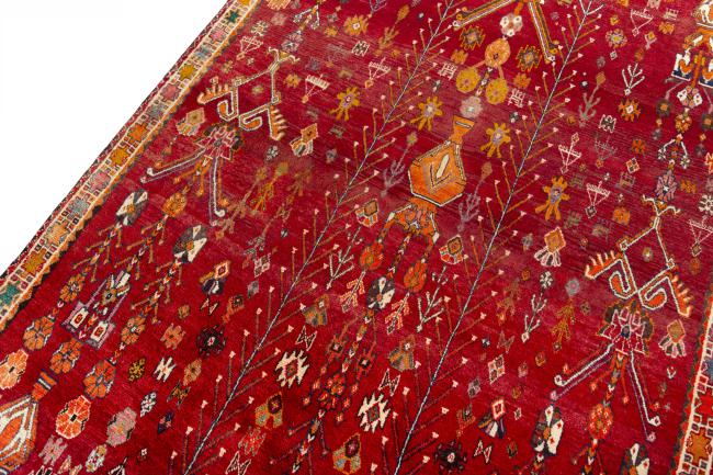 Shiraz - 5