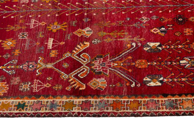 Shiraz - 8