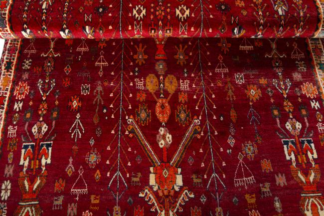 Shiraz - 9