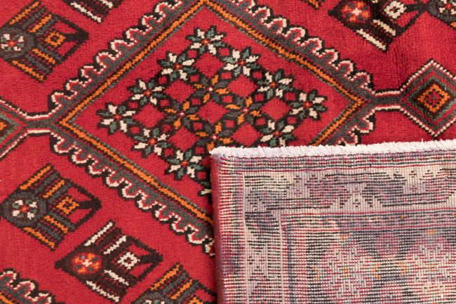 Shiraz - 6