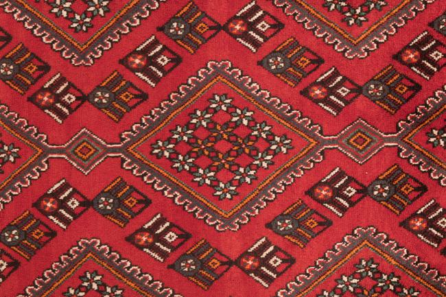 Shiraz - 7