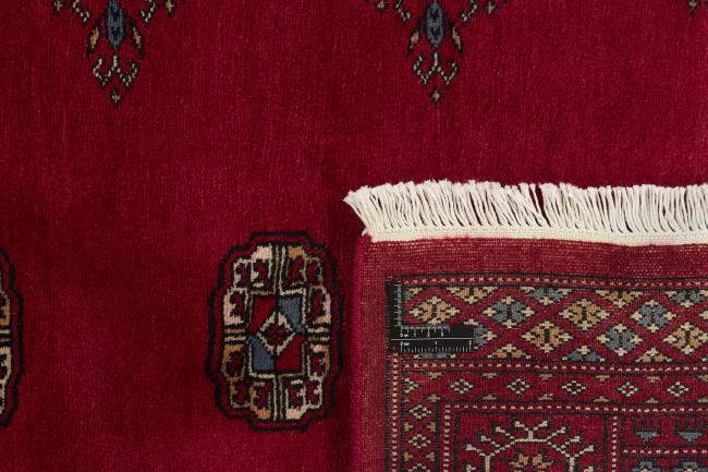 Pakistan Buchara 3ply - 1