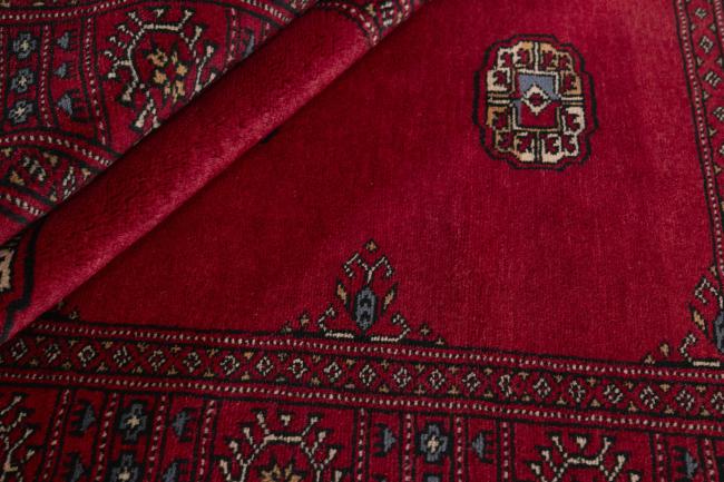 Pakistan Buchara 3ply - 2
