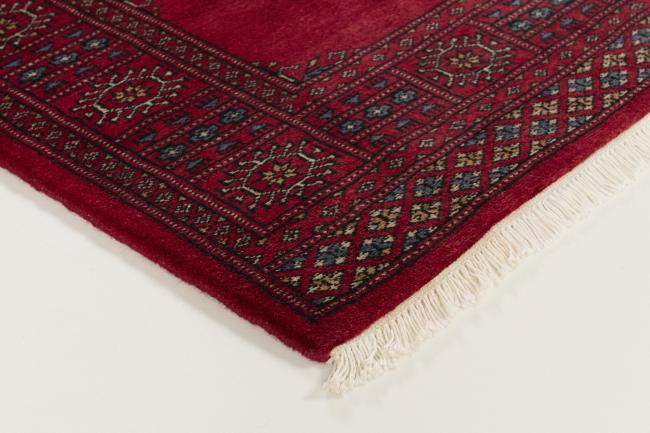 Pakistan Buchara 3ply - 3