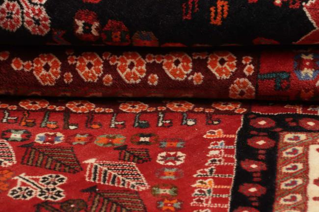 Shiraz - 1