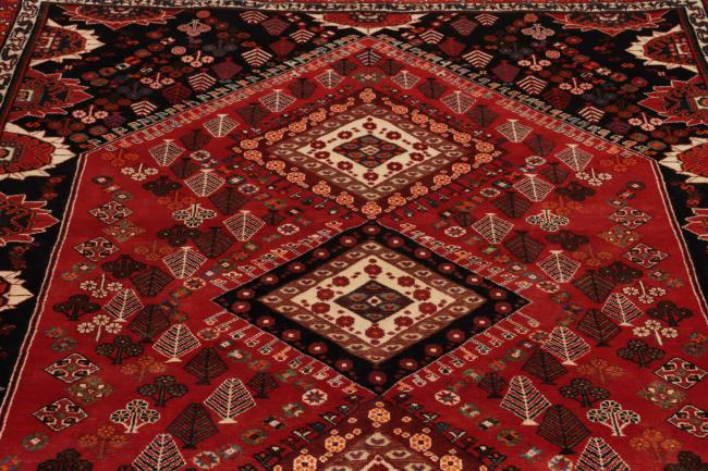 Shiraz - 8