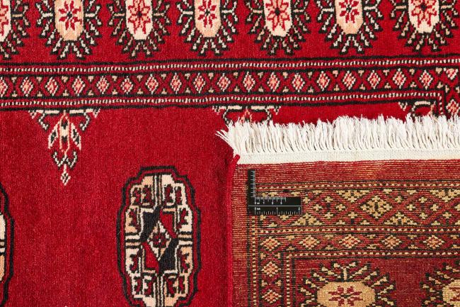 Pakistan Buchara 2ply - 1