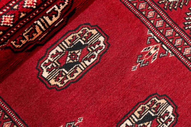 Pakistan Buchara 2ply - 2