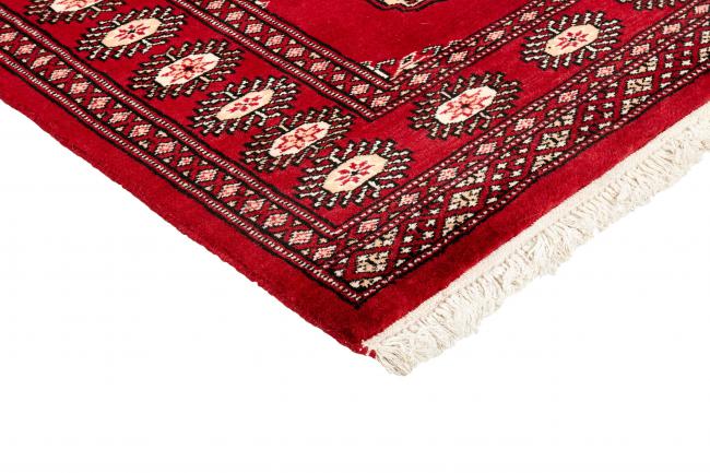 Pakistan Buchara 2ply - 3