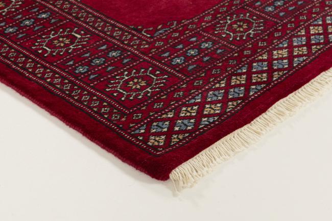 Pakistan Buchara 3ply - 3