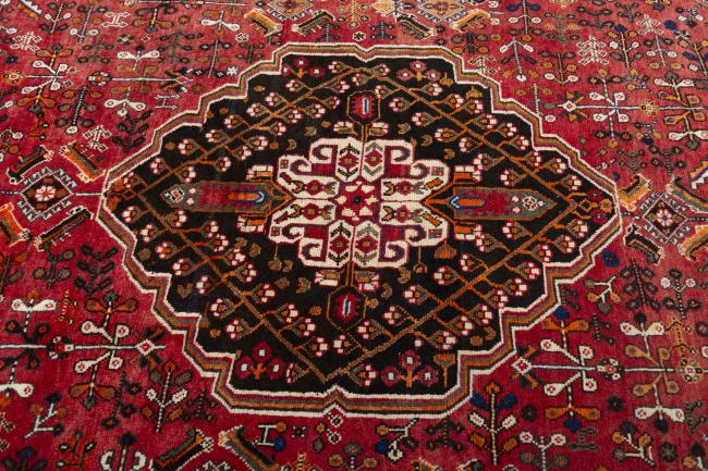 Shiraz - 5