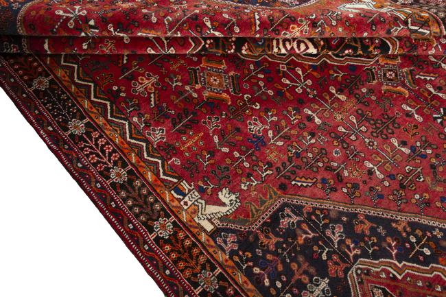 Shiraz - 8