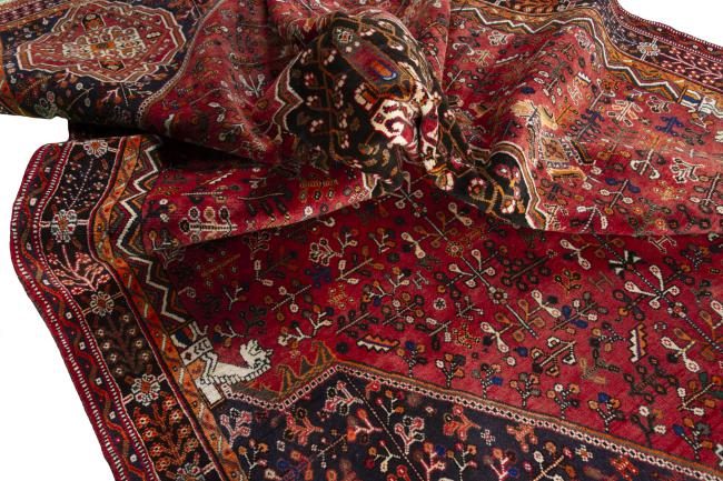 Shiraz - 9