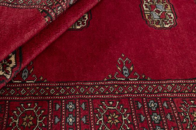 Pakistan Buchara 3ply - 2