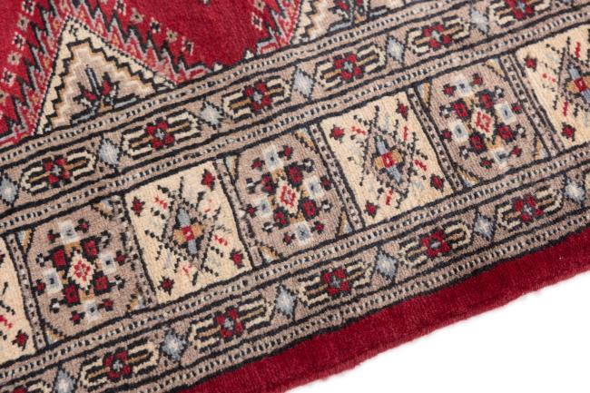 Pakistan Buchara 2Ply - 4