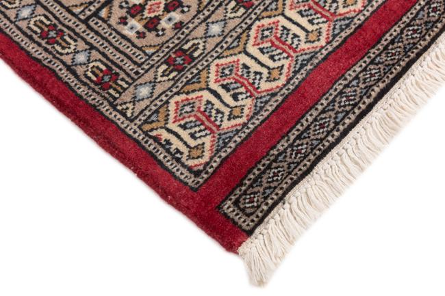 Pakistan Buchara 2Ply - 5