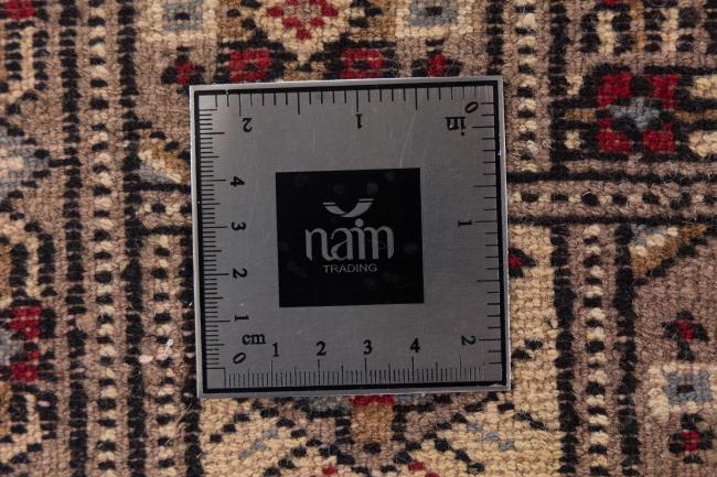 Pakistan Buchara 2Ply - 7