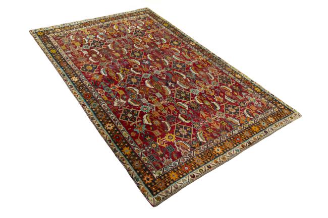 Shiraz - 2