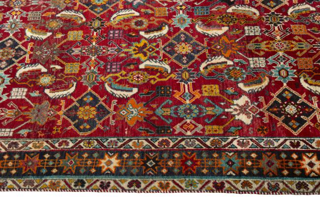 Shiraz - 6