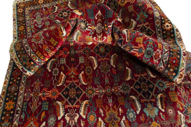 Shiraz - 8