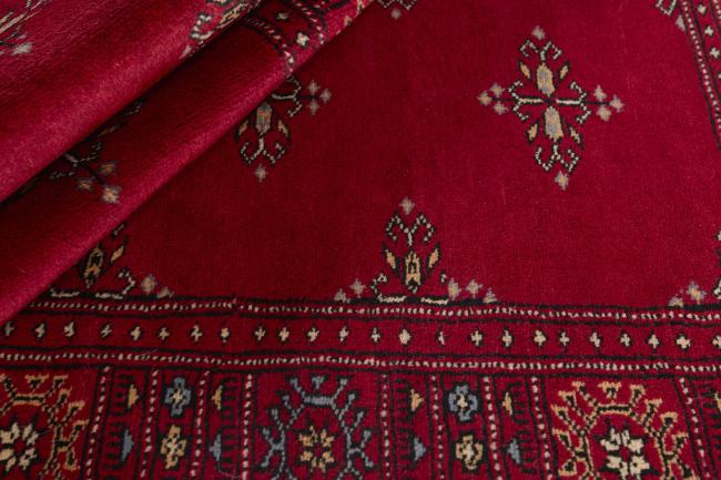 Pakistan Buchara 2ply - 2