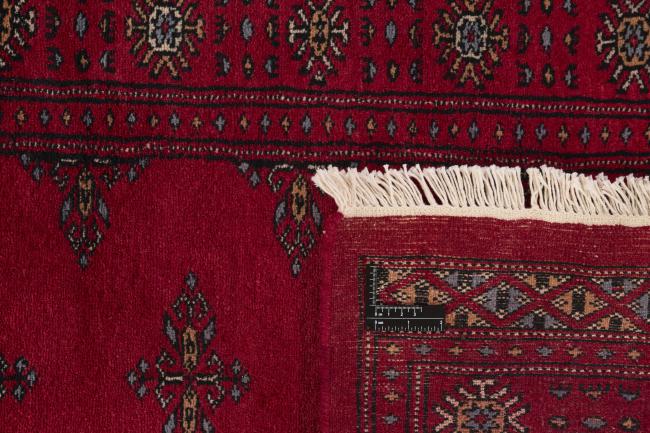 Pakistan Buchara 3ply - 1