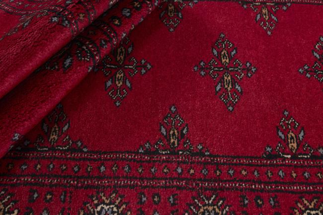 Pakistan Buchara 3ply - 2