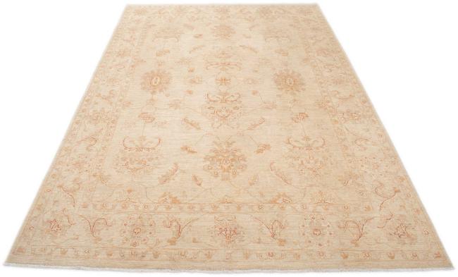 Ziegler Farahan - 3