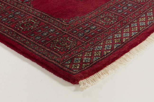 Pakistan Buchara 3ply - 3