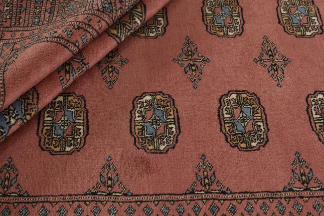Pakistan Buchara 3ply - 2